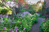 Jardin d'acacia à Stillingfleet Lodge garden, Yorkshire, UK