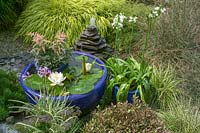 Petit plan d'eau et étang en pot, avec coussinets Nymphaea - Lily.