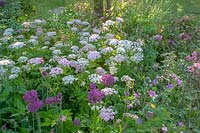 Jardin de style chalet au début de l'été avec Chearophyllum hirsutum 'Roseum', Allium 'Purple Sensation' et Geranium 'Charles Perrin '.