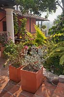 Une collection de pots en terre cuite carrés sur des marches carrelées sur une terrasse de jardin tropical - Colombie