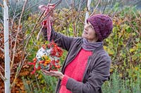 Femme suspendus mangeoire à oiseaux bundt cake dans l'arbre avec ruban de fête.