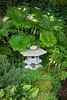 Darmera peltata, Primulas et Oxalis oregana - oseille de bois - dans les parterres de piscine ombragés avec lampe en pierre japonaise