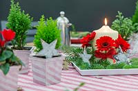 Décor de table festif rouge, blanc et vert, avec centre de table en pin bleu et bougie Gerbera.