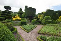 Parterres bordés de boîtes et formes topiaires inhabituelles, Levens Hall and Garden, Cumbria, Royaume-Uni