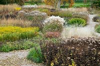 Parterre de graminées vivaces et de têtes de semences conçu par Piet Oudolf - Trentham Gardens, Staffordshire, Royaume-Uni.