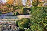 Vue sur les parterres d'automne et les boules de Buxus topiaires dans le jardin de Laura Dingemans, aux Pays-Bas.