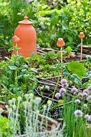 Bordures de légumes surélevées dans le potager, avec pièges en terre cuite et perce-rhubarbe.