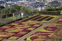 Jardim Botanico Gardens - Jardin botanique, Funchal, Madère