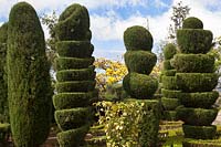 Formes topiaires inhabituelles dans le jardin topiaire, Jardim Botanico, Funchal, Madère.
