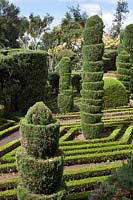 Des parterres bordés de Buxus entourent des formes topiaires inhabituelles dans le jardin topiaire, Jardim Botanico, Funchal, Madère.