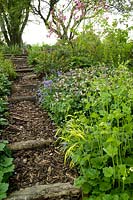 Écorce et journal chemin en escalier menant à travers le verger avec parterre de fleurs à l'ombre du printemps. Jardin Summerdale, Cumbria, Royaume-Uni.