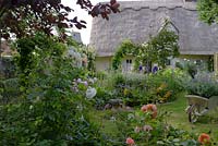 Chaumière et jardin de campagne, avec des plantations mixtes de roses, de géraniums et de menthe verte.