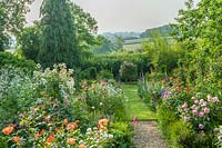 Vue d'un jardin de campagne avec parterres doubles remplis de roses et de vivaces herbacées.