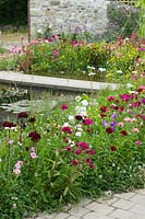 Mélange de pré de fleurs utilisé à petite échelle pour encourager les insectes à côté d'un étang ornemental pour la faune.