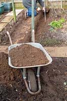 Vue d'une brouette pleine de terre de jardin en tant que jardinier creuse une tranchée pour de nouvelles framboises en arrière-plan.