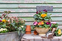 Afficher avec des plantes à fleurs au début du printemps plantées dans une baignoire en métal réutilisée et des passoires vintage.