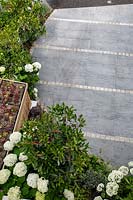 Vue de dessus d'un jardin avant avec allée carrelée et magasin de poubelle en bois avec toit vert succulent avec Hydrangea arborescens Anabelle, Eriobotrya Coppertone standard