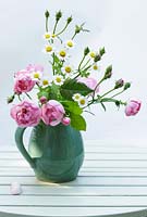 Fleurs de Rosa 'Raubritter' 'Macrantha' hybride en pot en céramique sur table en bois.