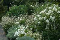 Parterre de fleurs blanches avec des fleurs de Dahlia, Gaura, Cosmos, Artemsia et Buddleja