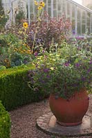 Pot décoratif coloré, aux côtés de haies taillées et plantation à la fin de l'été de Helianthus, Kale, Fenouil et Persicaria microcephala. Château d'Arundel, Sussex, UK.