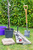 Outils et matériel pour planter Malus domestica 'Braeburn' - pomme 'Braeburn ' dans la pelouse