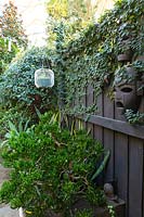 Vue le long du parterre de fleurs dans un jardin australien, planté de Crassula ovata 'Gollum' et comportant des masques en bois montés sur une clôture, et un luminaire rétro en fil métallique réutilisé comme support de pot.