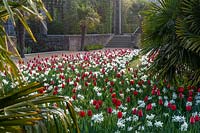 Festival des tulipes au château d'Arundel Sussex