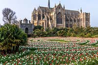 Le Festival des tulipes au château d'Arundel, Sussex, UK.