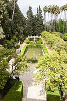 Vue depuis la Galera del Grutesco. Jardins du Palais de l'Alcazar, Séville, Espagne.