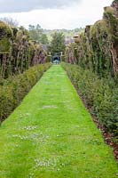 Découvre le Taxus baccata - Yew Avenue dans le jardin clos. Jardin Miserden, près de Stroud, Gloucestershire, Royaume-Uni.