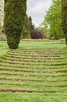 Des marches gazonnées mènent entre deux colonnes de Taxus baccata fastigata - If irlandais. Jardin Miserden, près de Stroud, Gloucestershire, Royaume-Uni.