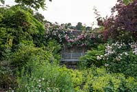 Un siège en métal peint Victoria est niché entre les roses et les fougères par la grotte de Batcombe House, Somerset, UK.