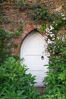 Porte de jardin située dans un mur de pierre et de brique encadrée par Helleborus argutifolius - Hellébore - et Rosa 'Snow Goose '