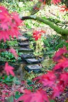Voir à travers les feuilles automnales à chemin de pierre à travers le ruisseau. Jardins de Minterne, Dorset, UK.