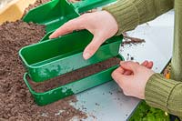 Femme utilisant un plateau de même taille pour comprimer légèrement le compost avant de semer les graines