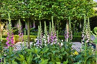 Des digitales, des fougères et des charmes pêchés à l'appui, le jardin Husqvarna. RHS Chelsea Flower Show