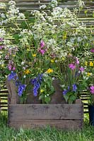 Fleurs sauvages sur l'étalage 'Sophie's Country Garden Flowers'