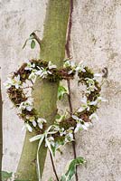 Couronne en forme de coeur moussé ornée de fleurs de Galanthus - Perce-neige - suspendue à un arbre.