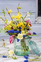 Bouquet de printemps sauvage précoce avec Muscari, primevères, fleurs, Forysthia, Narcisse et Ribes, affiché dans un bocal en verre.