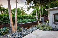 Palmiers fixés dans des parterres de galets avec parterre de fleurs en acier corten avec rangée d'Agave weberi avec un ruisseau d'eau en dessous