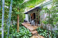 Vue de la plantation tropicale de chaque côté des marches en brique jusqu'à une petite terrasse à l'extérieur de la maison. Les plantes comprennent: Bambusa chungii - Bambou bleu, Satakentia liukiuensis - Palmier, couvre-sol panaché d'Aglaonema 'Silver Queen '.