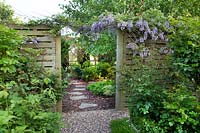 Glycine créant une arche entre la roseraie et le jardin d'ombrage, dans le jardin de la jardinière Karen Tatlow.