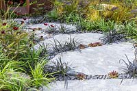 Tremplin avec Ophiopogon nigrescens, Sempervivum et galets décoratifs dans le 'Elements Mystique Garden', sponsorisé par Elements Garden Design