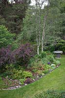 Vue sur la pelouse et un parterre de fleurs avec Berberis, Betula pendula - Silver Birch - arbres et vieille table en meule