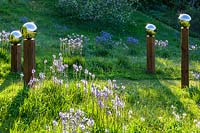Voir le pré en pente avec Camassia subsp. leichtlinii et globes de miroir en acier inoxydable montés sur des poteaux en bois