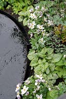 Jardin 'The Thrive Reflective Mind', piscine à débordement noire et parterre de fleurs surélevé adjacent avec plantation pérenne