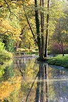 Feuilles d'automne à Fairhaven Water Gardens, Norfolk