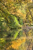 'Autumn 'feuilles et reflets d'arbres au Fairhaven Water Gardens Norfolk, Royaume-Uni