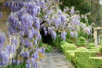 La floraison des glycines sur la Casita à Iford Manor, Bradford-on-Avon, Wiltshire, Royaume-Uni.