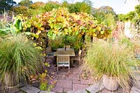 Tonnelle couverte de vigne et salle à manger dans le jardin en contrebas, encadrée par une paire de Chionochloa conspicua en pot à la Barn House, Chepstow, Royaume-Uni.